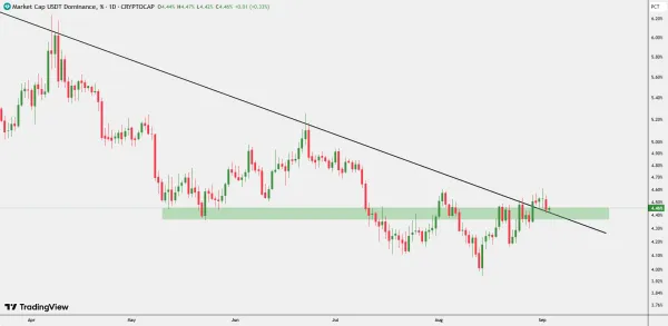 ریتست مقاومت؛ حرکت بعدی USDT.D چیست؟