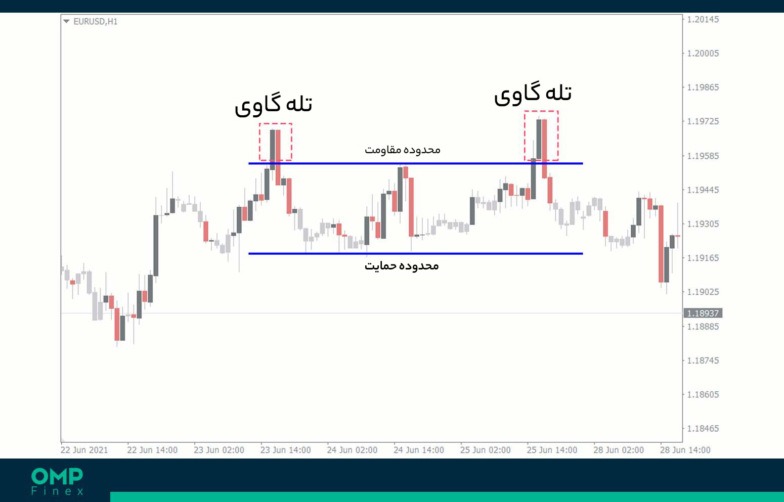 تله گاوی در بازار کریپتو به چه معناست؟