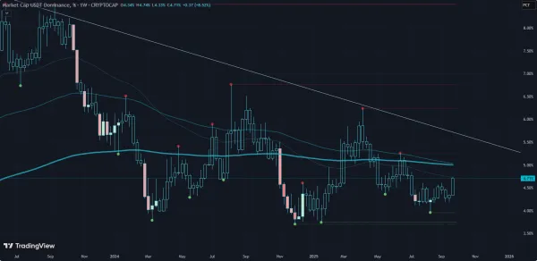 این میتونه آخرین سقف USDT.D باشه